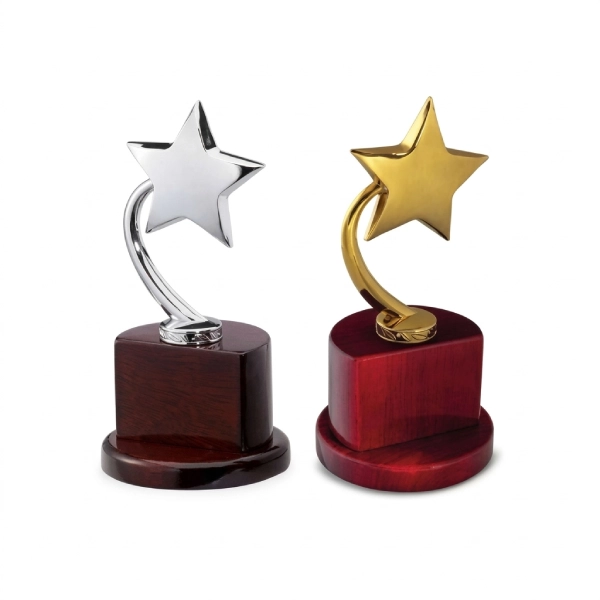 Whizz Trophy — Wooden base star trophy